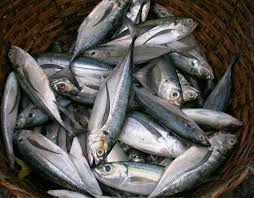 Resep dan cara memasak ikan rendah kalori untuk diet. Kalori Ikan Kembung
