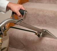 Carpet cleaning in charlotte, nc since 2004. 16 Carpet Cleaning Services Charlotte Ideas Carpet Cleaning Service How To Clean Carpet Carpet Cleaners
