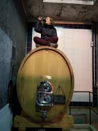 Conversa com o Enólogo: Ana Sofia Silva | Viva o Vinho