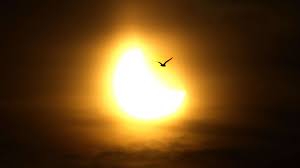 Ein partielle sonnenfinsternis zeigt sich am himmel. Nvc6s0h1hnn7mm