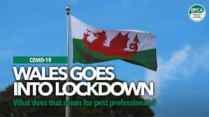 The new lockdown measures that apply to these areas are not on the same scale as those introduced for the whole of wales back in march, but they do limit things like socialising and travelling in an. Wales Goes Into Lockdown What Does That Mean For Pest Professionals