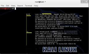 Perintah Dasar Kali Linux Command Linux Lengkap Menit Info