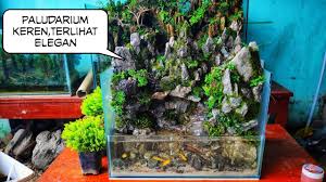 147 Membuat Paludarium Tema Gunung Youtube
