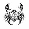 There is a huge and colorful variety of such tattoos and if you are in the search of designs to be worn as cancer ribbon tattoos, this is a wonderful place. 1