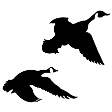 Black And White Goose Silhouette Stencil Duck Art Bird Silhouette Outline Drawings