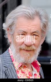 Magneto and mckellen hi-res stock photography and images