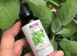 Peppermint essential oil also assists with minor aches and pains, acne, inflammation, nausea, and. Peppermint Oil For Irritable Bowel Sweet Dr Jill Grimes