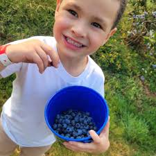 Jessica Katoliichuk's Instagram, Twitter & Facebook