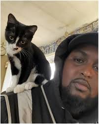 Energetic kitty loves to jump