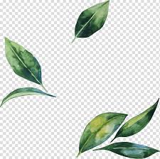 Leaf Flower Illustration Hand Painted Watercolor Leaves Green Leaf Transparent Background Png Clipart Flower Illustration Watercolor Leaves Leaf Illustration