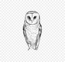 Owl tattoos have been part of many ancient civilizations around the globe. Barn Owl Tattoo Idee Zeichnen Eule Png Herunterladen 564 846 Kostenlos Transparent Eule Png Herunterladen