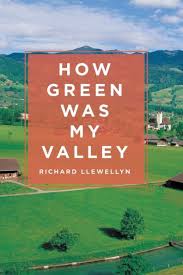 How Green Was My Valley by Richard Llewellyn, Paperback | Barnes & Noble®