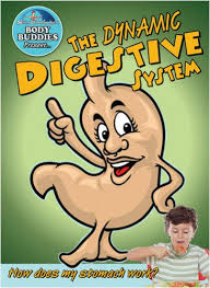 The human digestive system processes food that we eat. The Dynamic Digestive System How Does My Stomach Work Slim Goodbody S Body Buddies Burstein John 9780778744290 Amazon Com Books