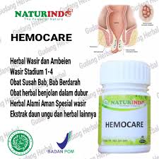 Daun ini memiliki kandungan baik yang sangat kaya, seperti misalnya vitamin, mineral, alkaloid, serta antioksidan flavonoid. Obat Herbal Wasir Ambeyen Ambeien Bab Berdarah Bab Panas Diare Sembelit Anus Bengkak Benjolan Di Dubur Hemocare Naturindo Daun Ungu Kunir Putih Kunyit Binahong Pegagan Lazada Indonesia