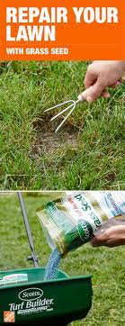 Grass Seed Can Help Repair Dead Spots In Your Lawn And Help You Grow Greener Thicker Grass But Choosing The Right Seed And A Lawn Repair Grass Seed Lawn Care