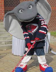 Support the south carolina stingrays hockey team in style with hats, novelty items, and men's, women's, and youth apparel. Kid S Fair Charleston Sc Burke High School Rocked With Fun A Backpack Journalist
