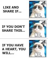 Me On Facebook Grumpy Cat Meme Grumpy Cat Funny Pictures
