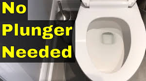 After then push the plunger straight down into the toilet bowl. Why Is My Poop So Big It Clogs The Toilet