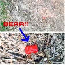 Maybe you would like to learn more about one of these? Lake Wissota State Park 32 Photos Hiking 18143 County Highway O Chippewa Falls Wi