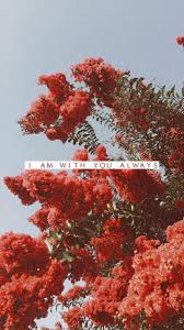 Download free wallpaper for iphone and desktop. Guzel Seyler Var