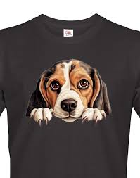 Image result for bígl