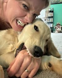 Catawba Animal Clinic, P.A.