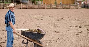 The ideal way to compost manure is by mixing it with the animal's typical bedding, which may be straw or hay. What Is The Best Manure For Vegetable Gardening