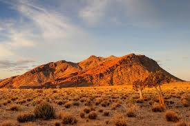 Image result for Kalaharia uncinata