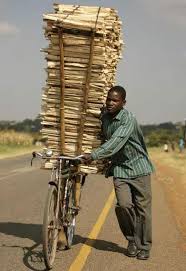 Transport On Bike We 3 Africa Come And Volunteer With Us Bike Transporting Bicycle Africa