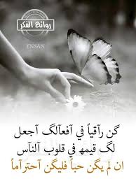 For each proverb, we provide a literal translation of the arabic, along with the equivalent proverb in english (if one exists). Pin By Noor On Ù…Ù† Ø§Ù„Ù‚Ù„Ø¨ Ø¥Ù„Ù‰ Ø§Ù„Ù‚Ù„Ø¨ Heart To Heart Arabic Quotes Quotes Sayings