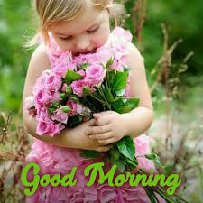For thousands of years, coded messages have been attributed to flowers, and the cultural or social settings in which they're given as tokens or displayed. Send Beautiful Good Morning Messages With Flowers Images Good Morning Images Quotes Wishes Messages Greetings Ecards