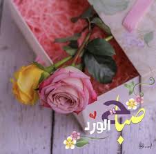 ورد مشكل على شكل قلوب. ØµØ¨Ø§Ø­ Ø§Ù„Ø®ÙŠØ± Good Morning Greetings Good Morning Wishes Good Morning Arabic