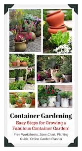 Easy Steps For Growing A Fantastic Container Vegetable Garden On Your Patio Balco Container Gardening Vegetables Vegetable Garden Design Home Vegetable Garden