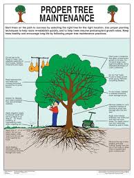 Jeanine Great Tree Planting And Care Information Trees To Plant Lawn Care Business Cards Landscaping Business Cards