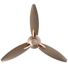 Whether you have a high or low ceiling, these are the best ceiling fans with lights to help with several fan options in the market, our favorite ceiling fan with lights is the hunter fan key biscayne collection ceiling fan. Usha Bloom Daffodil 1250mm Ceiling Fan Sparkle Gold Brown Price In India Buy Usha Bloom Daffodil 1250mm Ceiling Fan Sparkle Gold Brown Online Usha Vijaysales Com