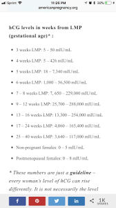 4 Weeks 5 Days Hcg Levels And Us Results Have Us Worried