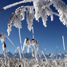 Nennenswerte neuschneemengen werden aber nur in den lagen oberhalb etwa 700m erwartet. Wetter Schnee Oder Kein Schnee Experte Nennt Entscheidenden Prognosefehler Welt