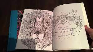 Choose any color, all the colors, never the same color twice. Crazy About Adult Colouring Book Review 2 Youtube