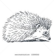 Hedgehog Clipart Black And White 2 450 X 470 Hedgehog Drawing Basic Sketching Hedgehog Illustration