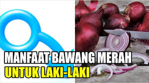Tentu saja dalam menanam bawang merah diperlukan panduan yang tepat. Inilah Manfaat Bawang Merah Untuk Kejantanan Laki Laki Youtube