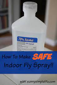 Best Homemade Indoor Fly Spray Fly Spray Fly Repellant Diy Homemade Fly Spray