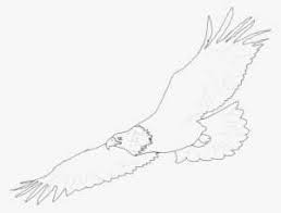 Everyone can create great looking drawings! Pin Drawn Hawk Black And White Black And White Eagle Drawing Png Image Transparent Png Free Download On Seekpng