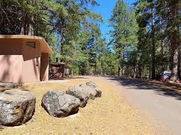 Penny Pines Campground, Mendocino National Forest