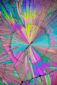 Image result for Polarized Microscopy