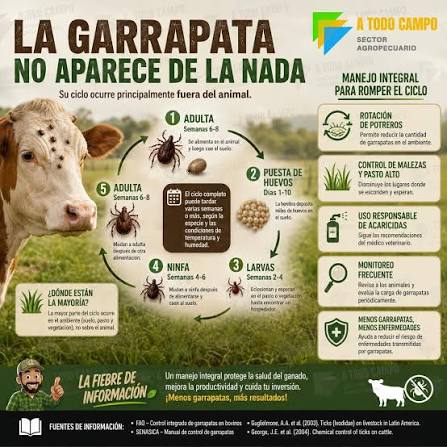 Mediante la Resolución SENASA 655/2026 se establecen modificaciones para mejorar los controles sanitarios de la enfermedad ectoparasitaria. El Servicio Nacional de Sanidad y Calidad Agroalimentaria (SENASA) actualizó el Plan Nacional de Control