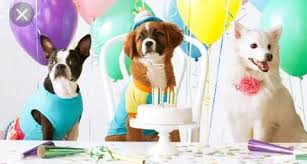 Check spelling or type a new query. Happy Birthday Puppy Home Facebook