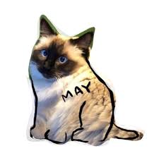 Because cats rarely stay in one position for long unless they are sleeping, using a photo instead of a live model can make the task easier. Nathan W Pyle On Twitter Adding Slight Animation To A Sleeping Cat Is An Easy Way To Make A Drawing Come To Life