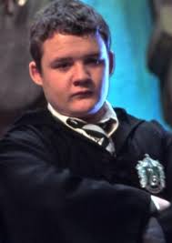 Will Tilston Fan Casting