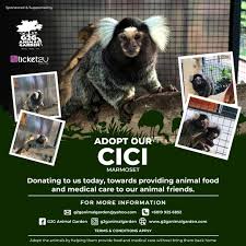 Please review the rules before posting. Animal Garden Covid 19 Fund Adoption Program Ticket2u