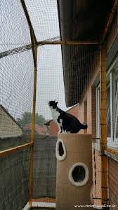 Projekt Balkon Aufbau Und Fertigstellung Teil 2 Katze Balkon Katzenauslauf Katzen